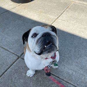 Meet your Posher, Justine